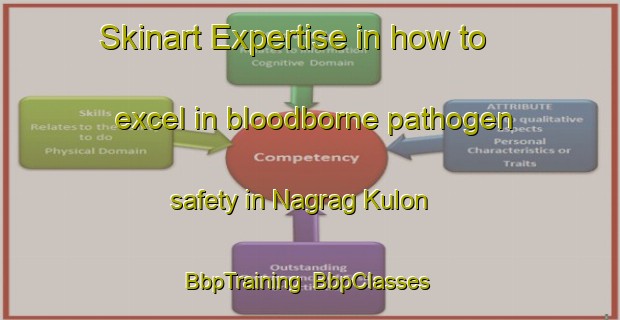 Skinart Expertise in how to excel in bloodborne pathogen safety in Nagrag Kulon | BbpTraining | BbpClasses | SkinartTraining-Indonesia