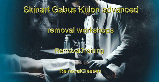 Skinart Gabus Kulon advanced removal workshops | RemovalTraining | RemovalClasses | SkinartTraining-Indonesia
