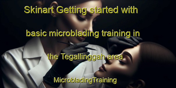 Skinart Getting started with basic microblading training in the Tegallinggah area | MicrobladingTraining | MicrobladingClasses | SkinartTraining-Indonesia