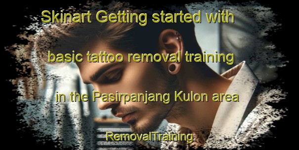 Skinart Getting started with basic tattoo removal training in the Pasirpanjang Kulon area | RemovalTraining | RemovalClasses | SkinartTraining-Indonesia