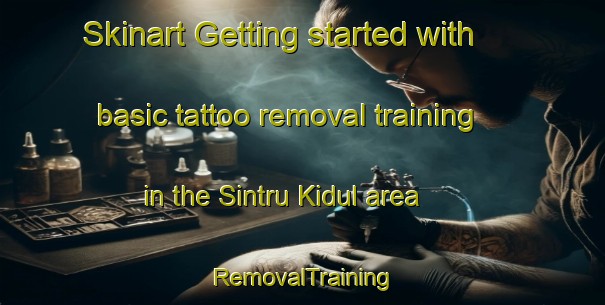 Skinart Getting started with basic tattoo removal training in the Sintru Kidul area | RemovalTraining | RemovalClasses | SkinartTraining-Indonesia