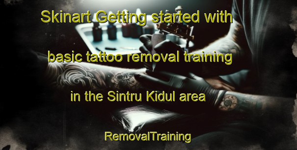 Skinart Getting started with basic tattoo removal training in the Sintru Kidul area | RemovalTraining | RemovalClasses | SkinartTraining-Indonesia