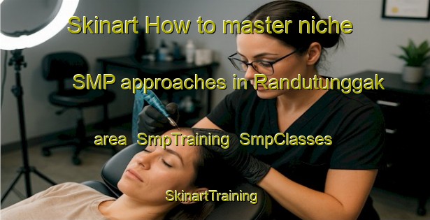 Skinart How to master niche SMP approaches in Randutunggak area | SmpTraining | SmpClasses | SkinartTraining-Indonesia