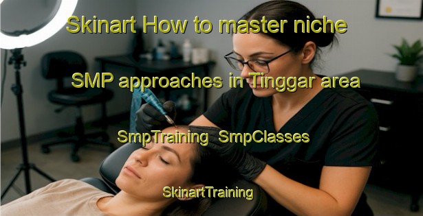 Skinart How to master niche SMP approaches in Tinggar area | SmpTraining | SmpClasses | SkinartTraining-Indonesia