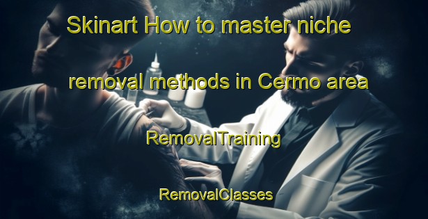 Skinart How to master niche removal methods in Cermo area | RemovalTraining | RemovalClasses | SkinartTraining-Indonesia