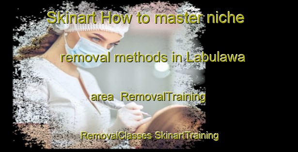 Skinart How to master niche removal methods in Labulawa area | #RemovalTraining #RemovalClasses #SkinartTraining-Indonesia