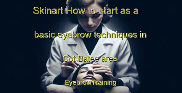 Skinart How to start as a basic eyebrow techniques in Cot Batee area | EyebrowTraining | EyebrowClasses | SkinartTraining-Indonesia