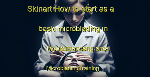 Skinart How to start as a basic microblading in Meukomancang area | MicrobladingTraining | MicrobladingClasses | SkinartTraining-Indonesia