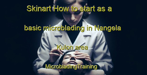 Skinart How to start as a basic microblading in Nangela Kulon area | MicrobladingTraining | MicrobladingClasses | SkinartTraining-Indonesia
