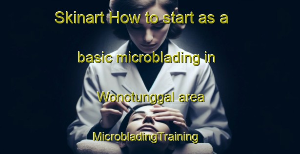 Skinart How to start as a basic microblading in Wonotunggal area | MicrobladingTraining | MicrobladingClasses | SkinartTraining-Indonesia