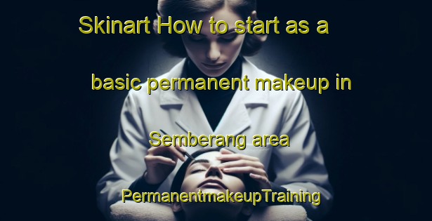 Skinart How to start as a basic permanent makeup in Semberang area | PermanentmakeupTraining | PermanentmakeupClasses | SkinartTraining-Indonesia