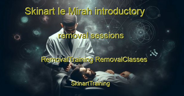 Skinart Ie Mirah introductory removal sessions | #RemovalTraining #RemovalClasses #SkinartTraining-Indonesia