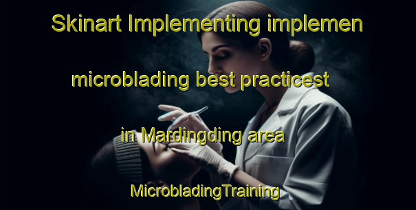 Skinart Implementing implemen microblading best practicest in Mardingding area | #MicrobladingTraining #MicrobladingClasses #SkinartTraining-Indonesia