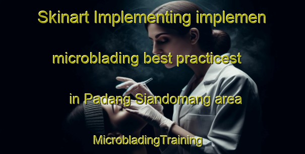Skinart Implementing implemen microblading best practicest in Padang Siandomang area | MicrobladingTraining | MicrobladingClasses | SkinartTraining-Indonesia