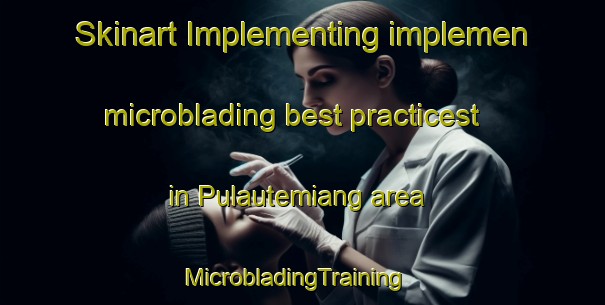 Skinart Implementing implemen microblading best practicest in Pulautemiang area | MicrobladingTraining | MicrobladingClasses | SkinartTraining-Indonesia