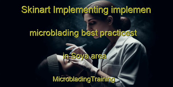Skinart Implementing implemen microblading best practicest in Soya area | MicrobladingTraining | MicrobladingClasses | SkinartTraining-Indonesia