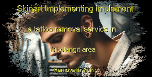 Skinart Implementing implement a tattoo removal service in Sibolangit area | RemovalTraining | RemovalClasses | SkinartTraining-Indonesia