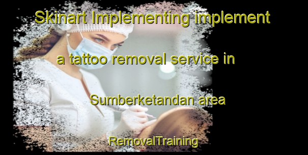 Skinart Implementing implement a tattoo removal service in Sumberketandan area | RemovalTraining | RemovalClasses | SkinartTraining-Indonesia