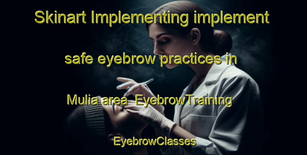 Skinart Implementing implement safe eyebrow practices in Mulia area | EyebrowTraining | EyebrowClasses | SkinartTraining-Indonesia