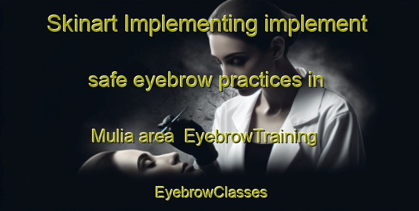 Skinart Implementing implement safe eyebrow practices in Mulia area | EyebrowTraining | EyebrowClasses | SkinartTraining-Indonesia
