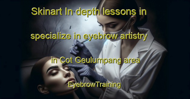 Skinart In-depth lessons in specialize in eyebrow artistry in Cot Geulumpang area | EyebrowTraining | EyebrowClasses | SkinartTraining-Indonesia