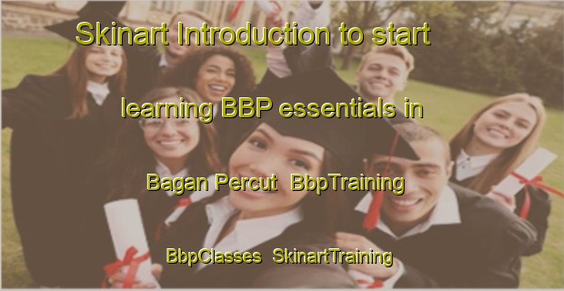 Skinart Introduction to start learning BBP essentials in Bagan Percut | BbpTraining | BbpClasses | SkinartTraining-Indonesia