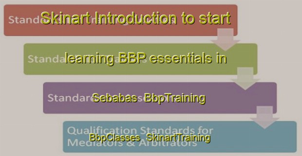 Skinart Introduction to start learning BBP essentials in Sebabas | BbpTraining | BbpClasses | SkinartTraining-Indonesia