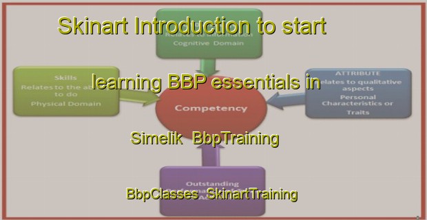 Skinart Introduction to start learning BBP essentials in Simelik | BbpTraining | BbpClasses | SkinartTraining-Indonesia