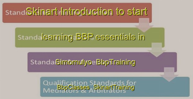 Skinart Introduction to start learning BBP essentials in Simomulyo | BbpTraining | BbpClasses | SkinartTraining-Indonesia