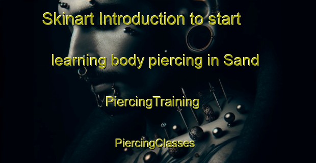 Skinart Introduction to start learning body piercing in Sand | PiercingTraining | PiercingClasses | SkinartTraining-Indonesia