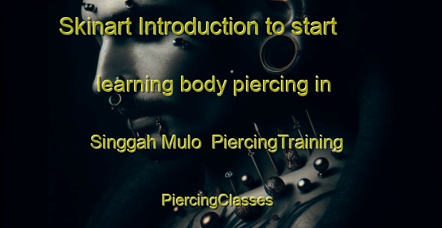 Skinart Introduction to start learning body piercing in Singgah Mulo | PiercingTraining | PiercingClasses | SkinartTraining-Indonesia