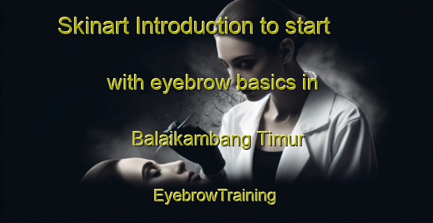 Skinart Introduction to start with eyebrow basics in Balaikambang Timur | EyebrowTraining | EyebrowClasses | SkinartTraining-Indonesia