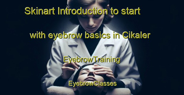 Skinart Introduction to start with eyebrow basics in Cikaler | EyebrowTraining | EyebrowClasses | SkinartTraining-Indonesia