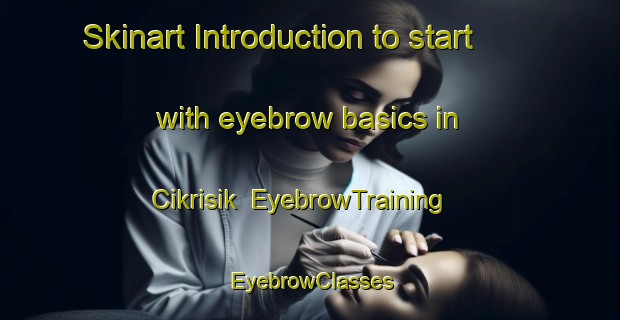 Skinart Introduction to start with eyebrow basics in Cikrisik | EyebrowTraining | EyebrowClasses | SkinartTraining-Indonesia