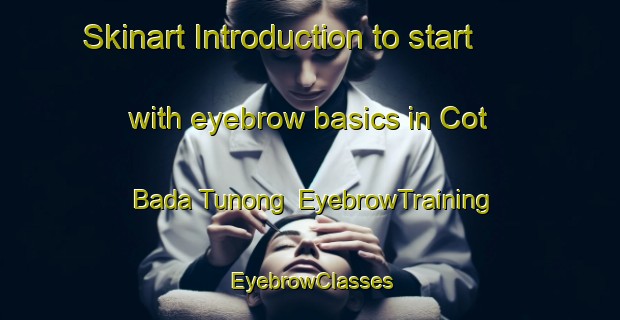 Skinart Introduction to start with eyebrow basics in Cot Bada Tunong | EyebrowTraining | EyebrowClasses | SkinartTraining-Indonesia