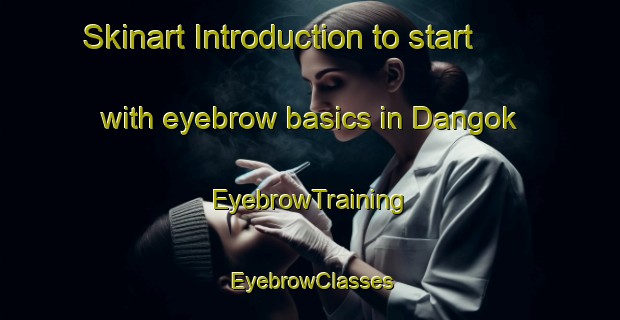 Skinart Introduction to start with eyebrow basics in Dangok | EyebrowTraining | EyebrowClasses | SkinartTraining-Indonesia