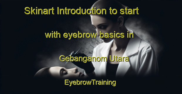Skinart Introduction to start with eyebrow basics in Gebanganom Utara | EyebrowTraining | EyebrowClasses | SkinartTraining-Indonesia