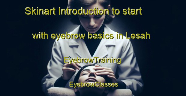 Skinart Introduction to start with eyebrow basics in Lesah | EyebrowTraining | EyebrowClasses | SkinartTraining-Indonesia
