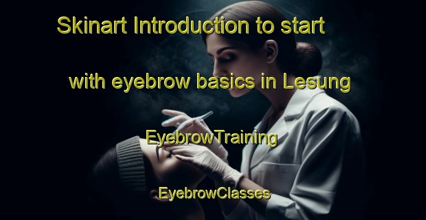 Skinart Introduction to start with eyebrow basics in Lesung | EyebrowTraining | EyebrowClasses | SkinartTraining-Indonesia