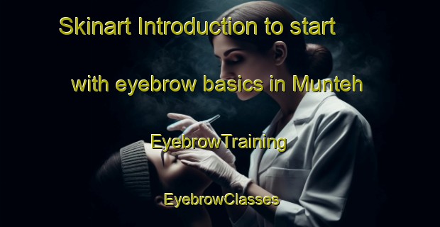 Skinart Introduction to start with eyebrow basics in Munteh | EyebrowTraining | EyebrowClasses | SkinartTraining-Indonesia