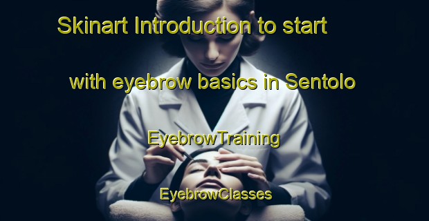 Skinart Introduction to start with eyebrow basics in Sentolo | EyebrowTraining | EyebrowClasses | SkinartTraining-Indonesia