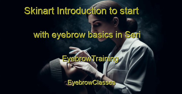 Skinart Introduction to start with eyebrow basics in Seri | EyebrowTraining | EyebrowClasses | SkinartTraining-Indonesia