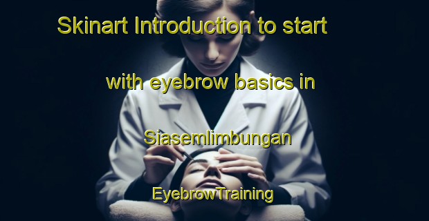 Skinart Introduction to start with eyebrow basics in Siasemlimbungan | EyebrowTraining | EyebrowClasses | SkinartTraining-Indonesia