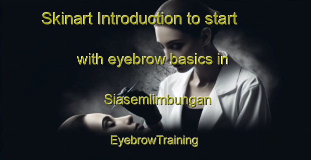 Skinart Introduction to start with eyebrow basics in Siasemlimbungan | EyebrowTraining | EyebrowClasses | SkinartTraining-Indonesia