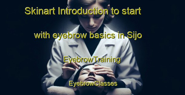 Skinart Introduction to start with eyebrow basics in Sijo | EyebrowTraining | EyebrowClasses | SkinartTraining-Indonesia
