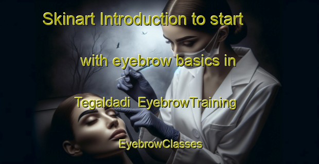 Skinart Introduction to start with eyebrow basics in Tegaldadi | EyebrowTraining | EyebrowClasses | SkinartTraining-Indonesia