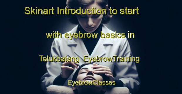 Skinart Introduction to start with eyebrow basics in Telukbatang | EyebrowTraining | EyebrowClasses | SkinartTraining-Indonesia