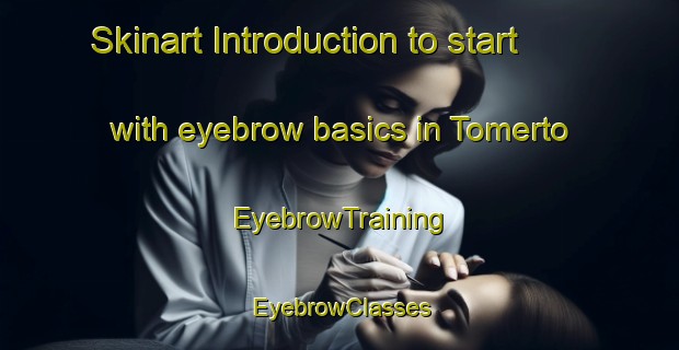 Skinart Introduction to start with eyebrow basics in Tomerto | EyebrowTraining | EyebrowClasses | SkinartTraining-Indonesia
