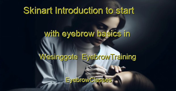 Skinart Introduction to start with eyebrow basics in Wesinggote | EyebrowTraining | EyebrowClasses | SkinartTraining-Indonesia
