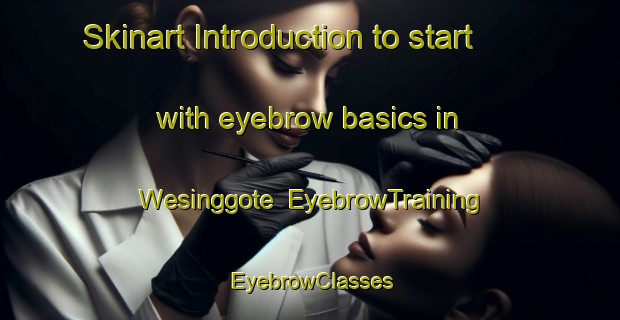 Skinart Introduction to start with eyebrow basics in Wesinggote | EyebrowTraining | EyebrowClasses | SkinartTraining-Indonesia